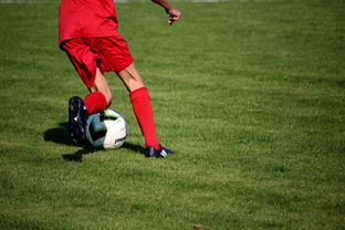 乐鱼娱乐app-中超球员年度技术评分标准体系，中超球员技术统计