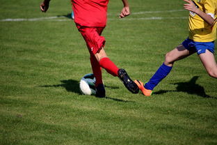 乐鱼体育(中国)官方网站-中超球员比赛热度曲线与表现匹配模型，中超热身赛