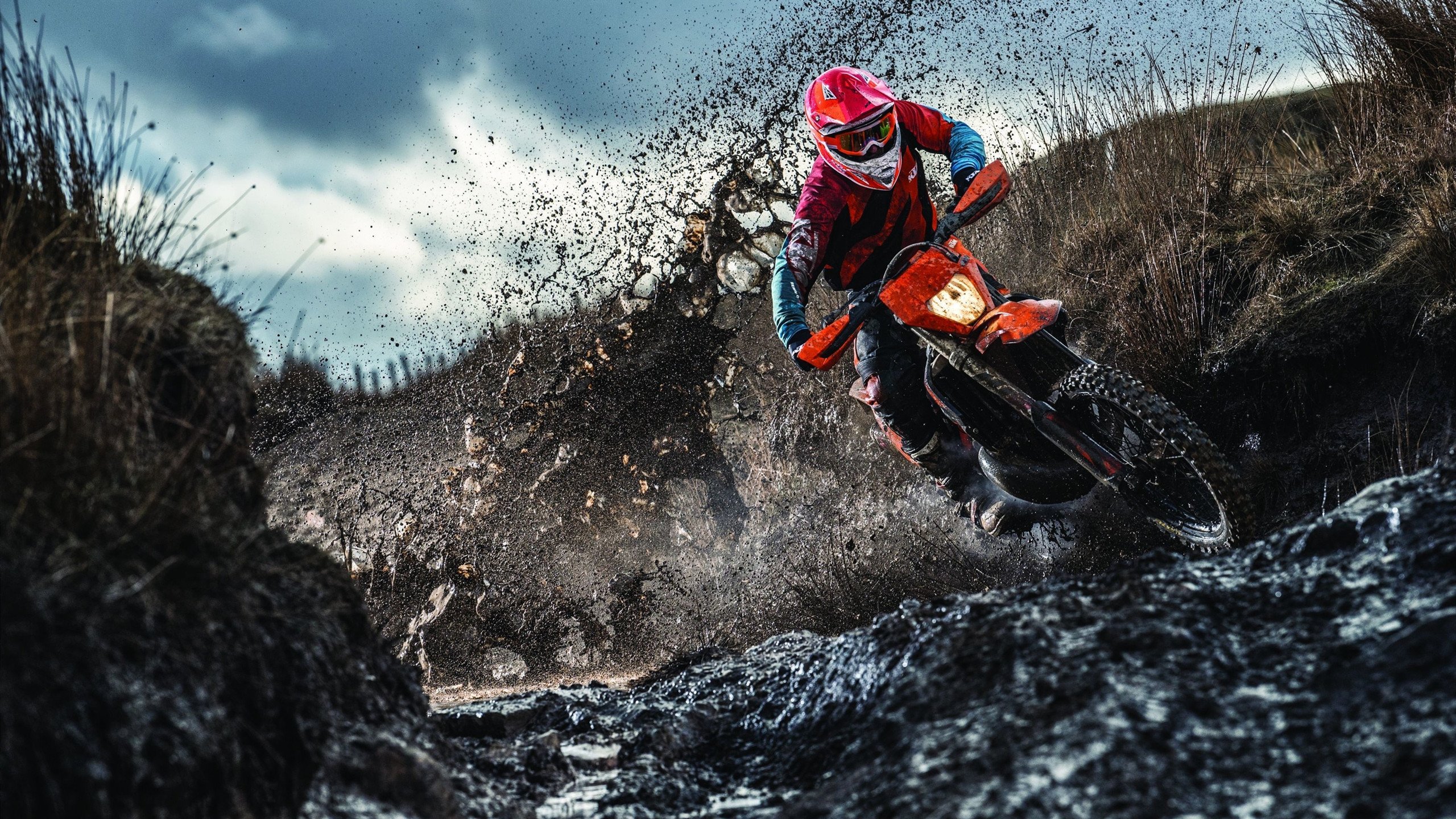 体育新闻中心首次发布全民运动数据年度趋势,全民体育运动宣传