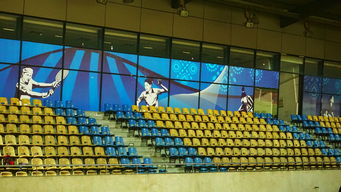 Leyu Sport下载-巴西青训体系持续投入，未来足球天才持续涌现