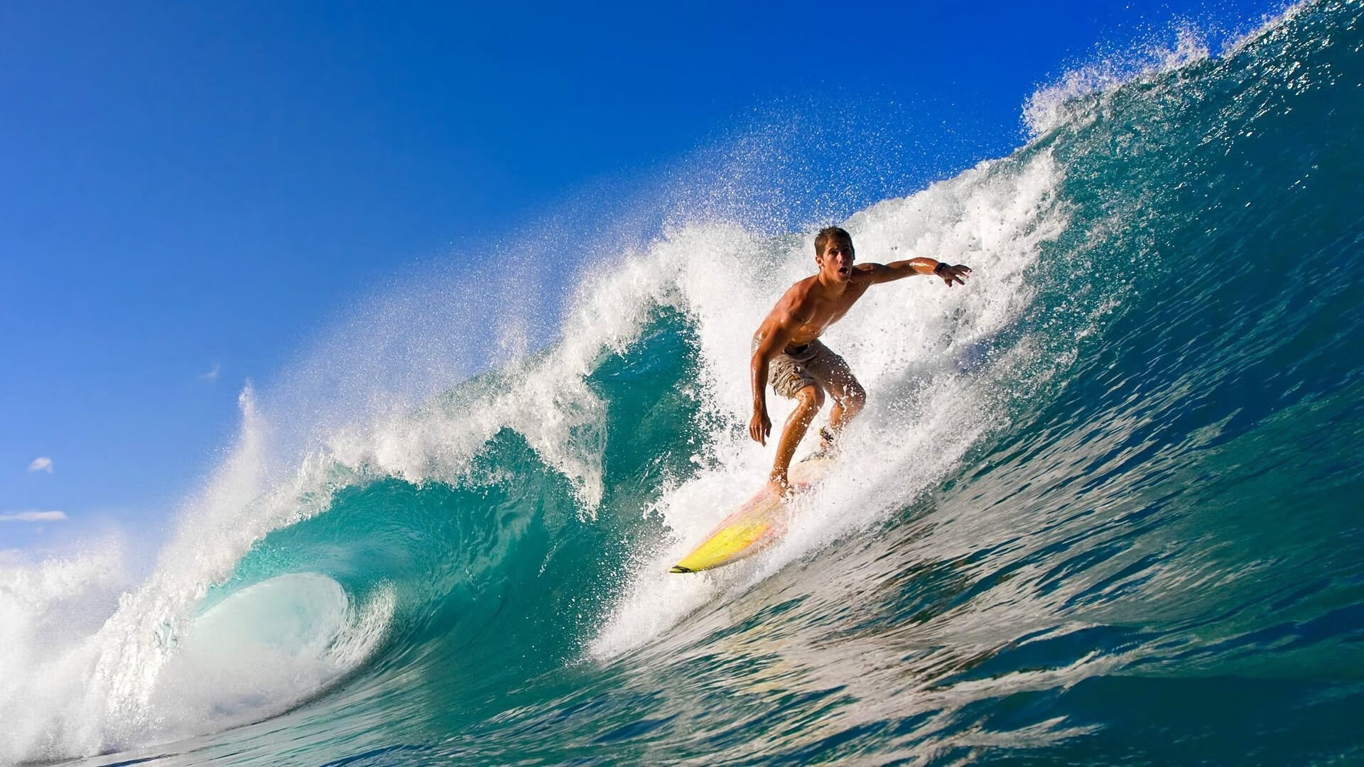 未来足球:多元能源整合,场馆全面实现可再生能源利用,能源方案球场