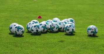 乐鱼官方登录入口-德甲球场上座率回升反映球迷热情不减，德乙上座率